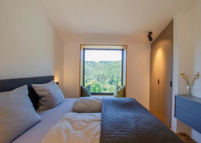 Сasa de vacaciones Sauerland - Haus Julius Winterberg