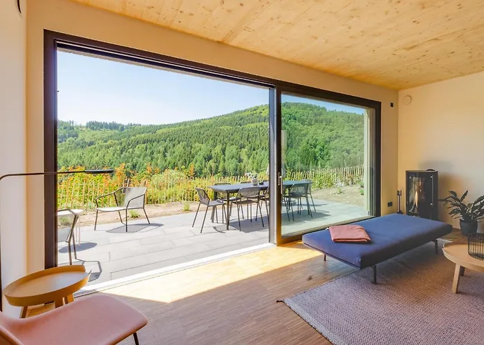 Sauerland - Haus Julius 度假居